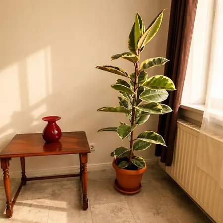 Apartman Central Apartment Hameln