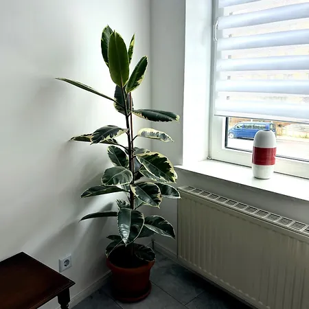 Apartment Central Apartment Hameln Hamelin